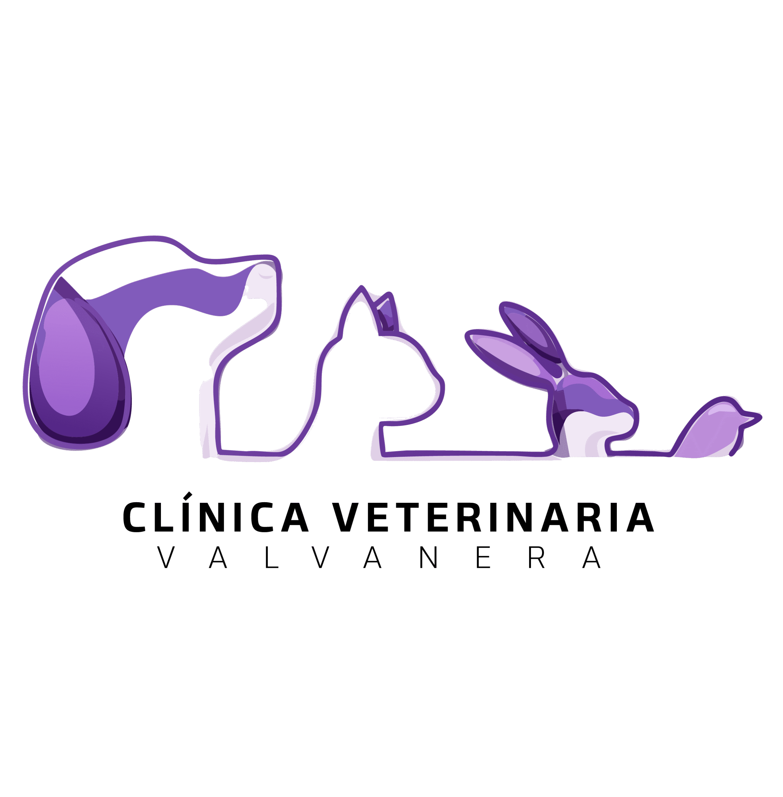 veterinariavalvanera.es